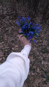 RuthMorse Reading in the snowdrops Pic 3