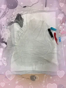 潮吹き記録🐳