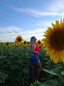 KriisKiss Chris in a field of sunflowers Billede 7