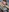 sexyindi_couple's photo