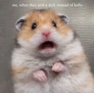 EvaThopson a few memes about me Pic 4