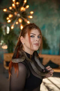 Zdjęcia Ffoxyflame snakes: 