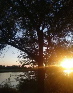 nikole_kitt nature 🌎 Εικόνα 2