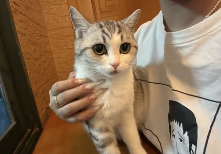 -sanhuamao- 家庭成员 Pic