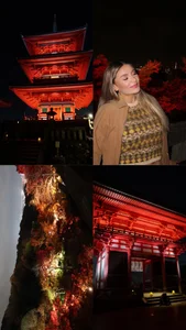 BlairSanders Definitely in love with Japan Poză 9