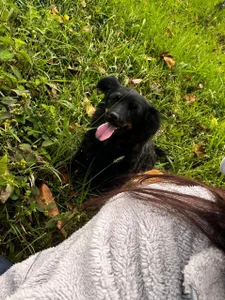 Saelivrae Travel companions Pic 3