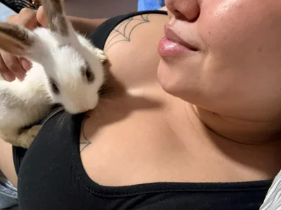 Geabloom MY BUNNY 🥕 รูป  2