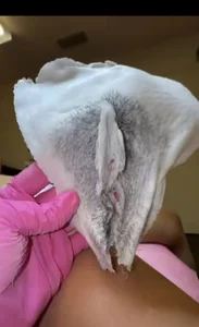 sexy_boobs97 Wex of my big pussy slika 2