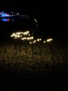 nian_nian_ 01/16 是浪漫也是孤独（厦门音乐沙滩） صورة واحدة|nian_nian_ 01/16 是浪漫也是孤独（厦门音乐沙滩） صورتان|nian_nian_ 01/16 是浪漫也是孤独（厦门音乐沙滩）  صور|nian_nian_ 01/16 是浪漫也是孤独（厦门音乐沙滩）  صورة