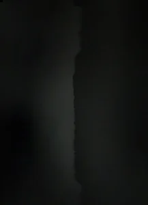 SloppyLynn Spicy Assfucking