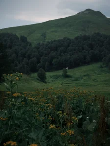 Evangeline_Lawrence_ Fav nature pic Foto 6