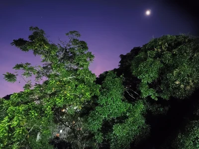 DearArtemis: Public ( 5 фото)