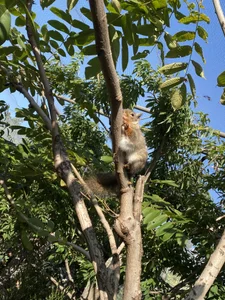 Sei_room Public  5. fénykép