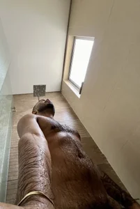 PapiStan Public 圖片 9