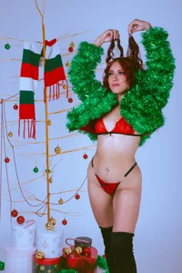 JupiteFox Navidad 2024 Pic 5