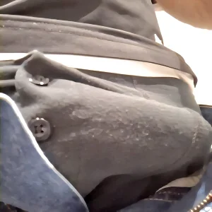 cteddybear Public Immagine  7