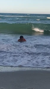 sparrow4791 Public Immagine  3