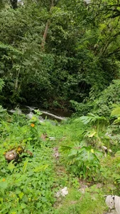 Vale_stone_ Your girl ❤️ Pic 6