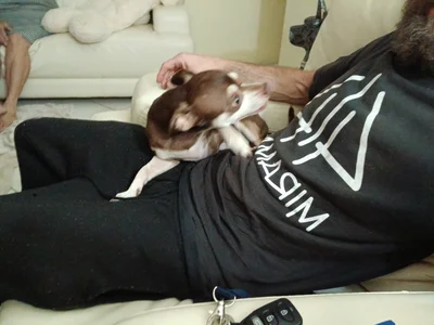 KosherCo313 Public Pic 4