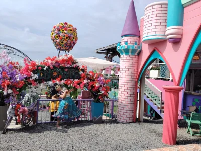 Cherrybbunny traveling through my beautiful country 🛫😀😺🎅🏻 Immagine  9