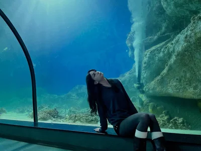 ReneeLippeatt Depths of the Ocean 사진 4