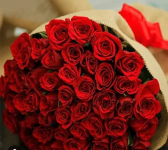 Rose de cooldude6939  5 photos