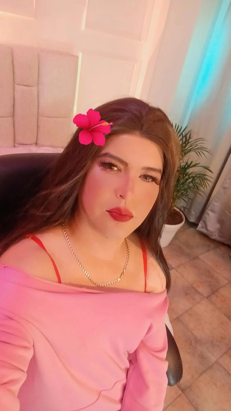 madisson_forexPublic图片 2