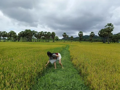 GAIXINH_TIMCK Public Pic