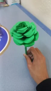 chaymae_nah_ The most beautiful gift a beautiful green flower 💚🖤 Pic 2