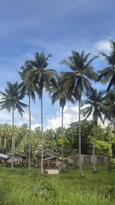 queen__apple사과 in 필리핀🏝️ Bild 5