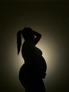 Majito_7 The silhouette of life зображення