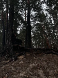 barbara_crazy forest. quiet. I.🌿💚  6টি ছবি