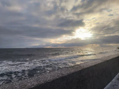 RomanPolend Public Poză 3