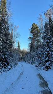 Phoenix_Margoのtravel vlogの 6枚の写真