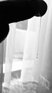 Drakejo Deleite Immagine  4