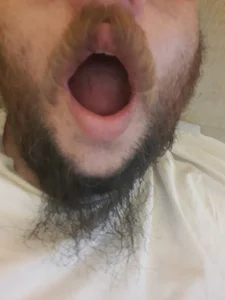 Sheideheda Public 사진