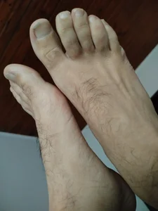zoticoo Pies Pic