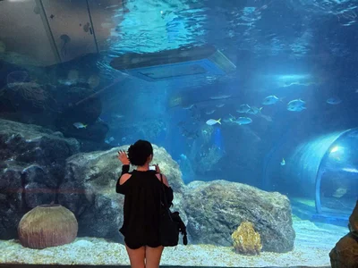 Emily-NguyenのBeautiful aquariumの枚の写真