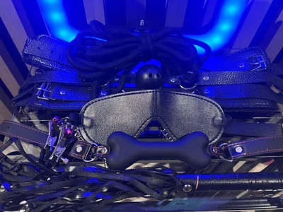 MiluandMIkeMy favorite toys图片 9