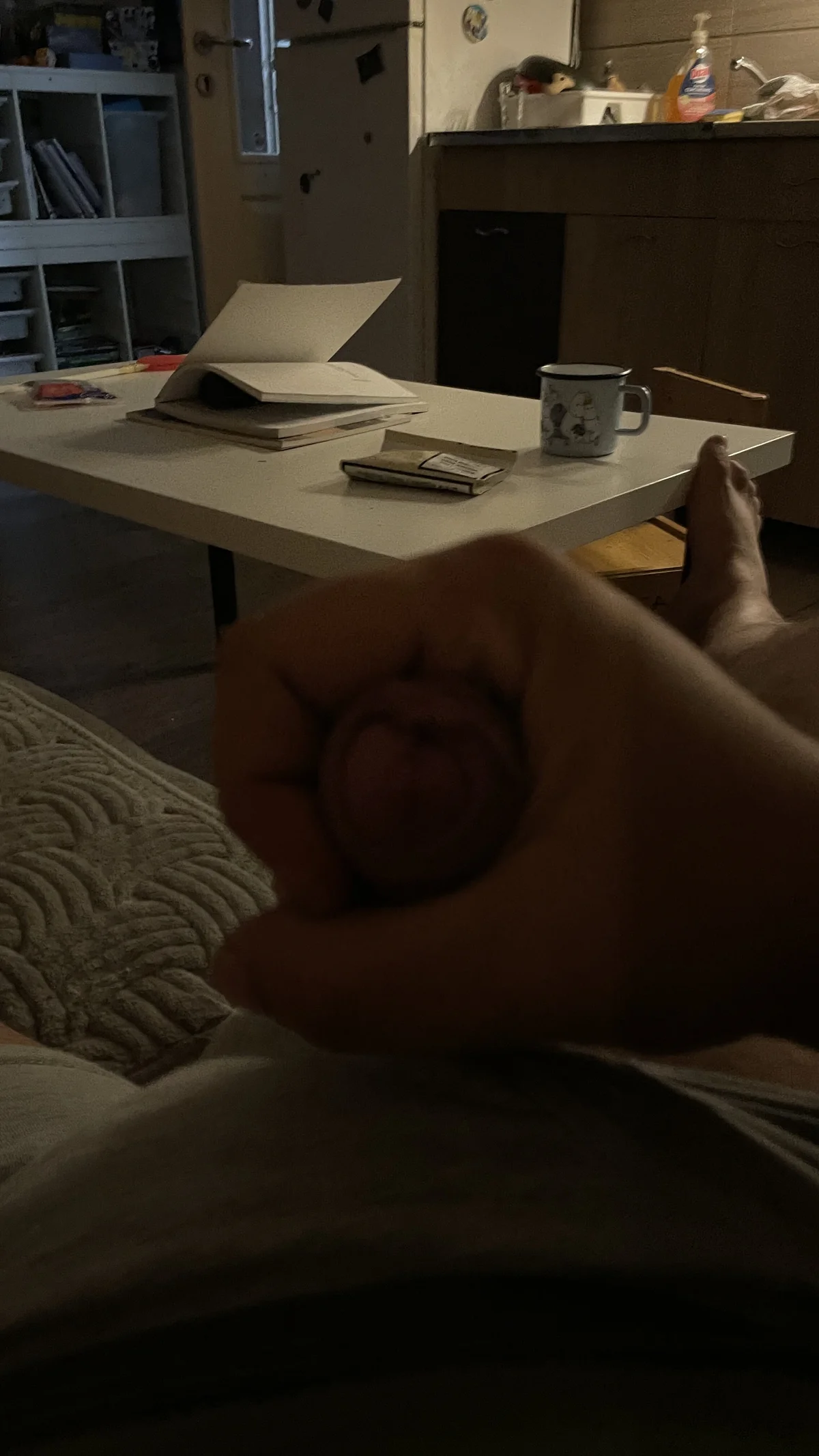 Foto em tendência de Zvecarka14 7866
