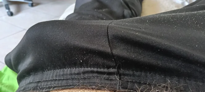 bimbomonelloのFoto mieの 5枚の写真