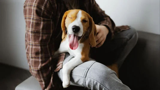 michael_strong1 My happiness 🐶 รูป  5