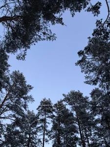 solar_bella Winter days صورة واحدة|solar_bella Winter days صورتان|solar_bella Winter days  4 صور|solar_bella Winter days  4 صورة