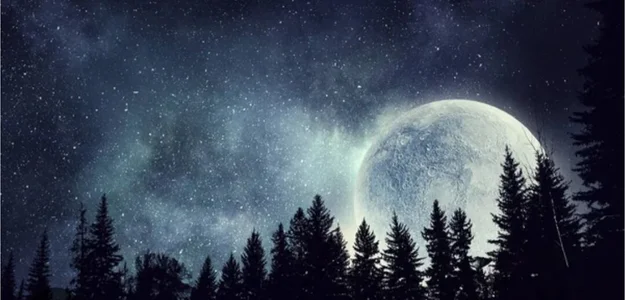 Karolina_Velvet Public Foto 3