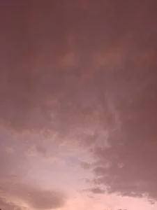 rodovlaz Public  5. fénykép