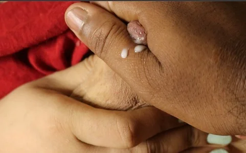 Public de AgniPriya  4 Imagens