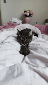 My favorite Splyushka😻 Splyushka will be glad of your financial support♥ de VandaRossi Foto 8