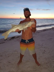 Me, myself and my cock de CaptCraker  3 photos