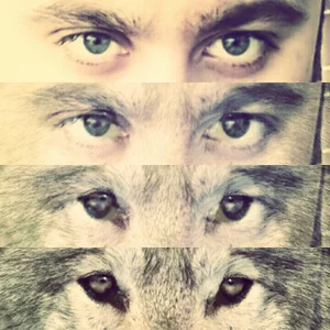 GEBZE_DONJUAN Public  2. fénykép