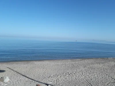 Trusted_Nucleus Public Foto